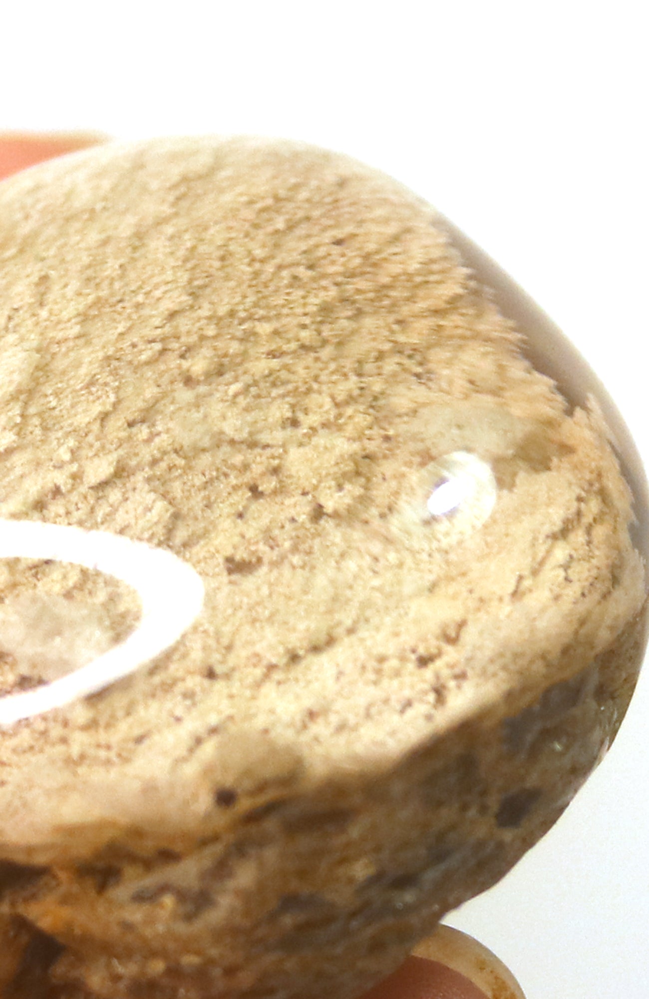 Lodalite Quartz Lens